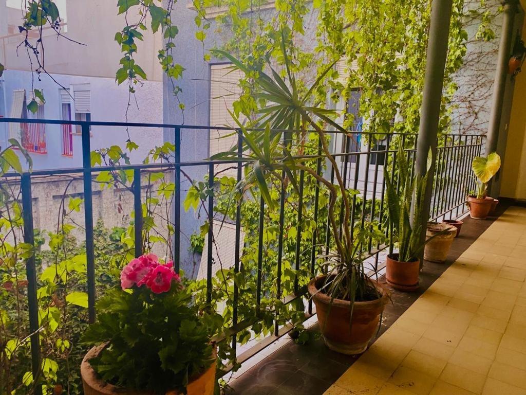 Innsevillaluxury Apartment Pilatos Exterior photo